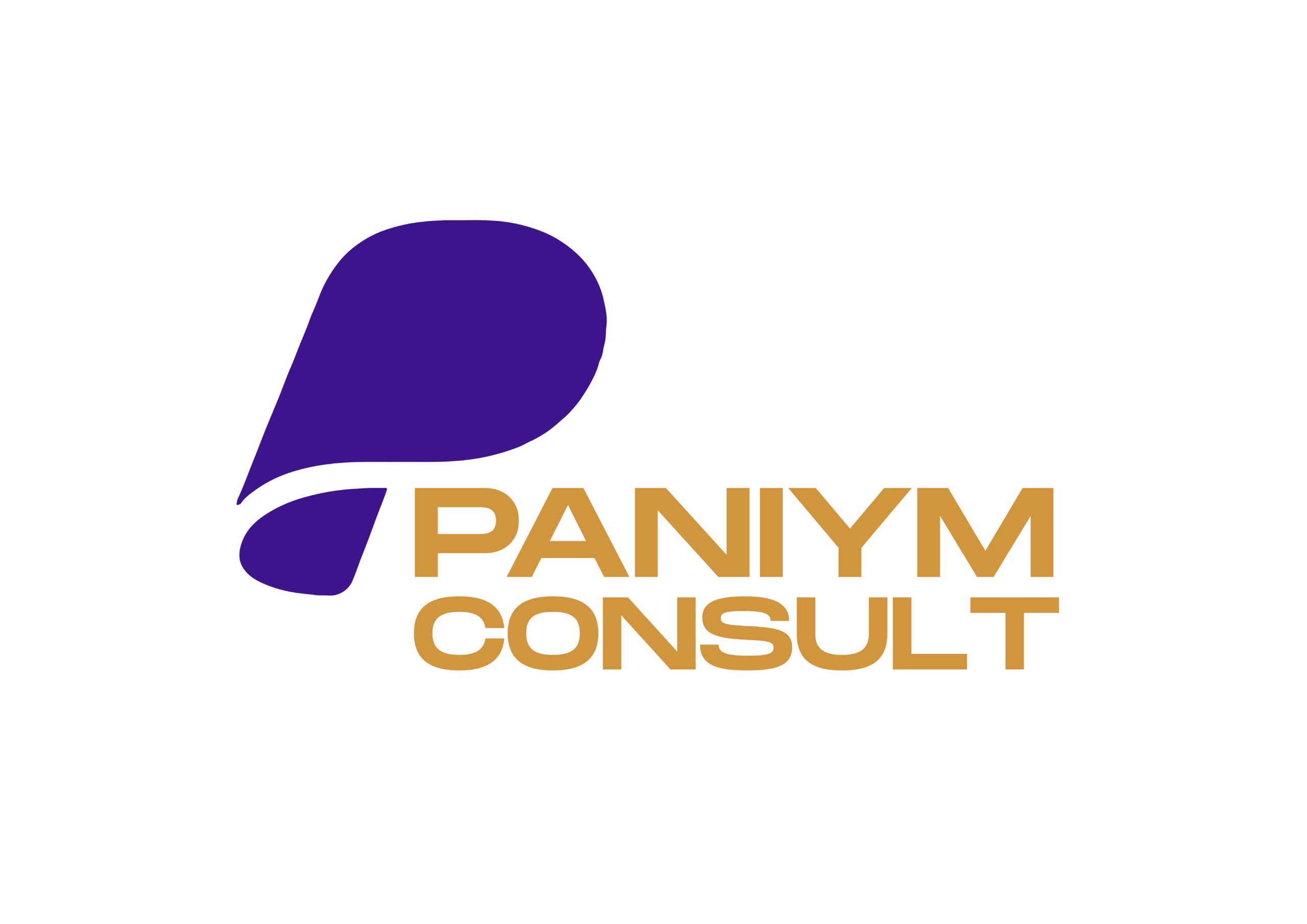 paniym consult logo-01